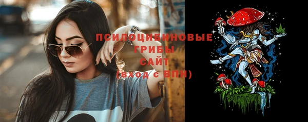 сатива Алексин